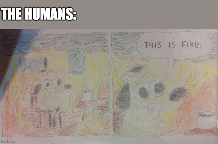 this is fine | THE HUMANS: | image tagged in this is fine | made w/ Imgflip meme maker