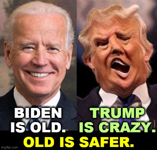 No contest. | TRUMP IS CRAZY. BIDEN IS OLD. OLD IS SAFER. | image tagged in biden old trump crazy old is safer,biden,old,trump,crazy,nuts | made w/ Imgflip meme maker