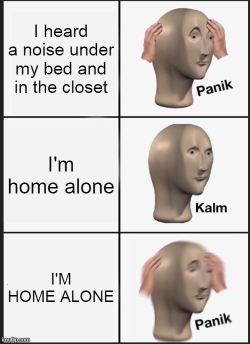 IDK WHAT TO NAME THIS AAAAAAAAA | I heard a noise under my bed and in the closet; I'm home alone; I'M HOME ALONE | image tagged in memes,panik kalm panik | made w/ Imgflip meme maker