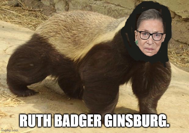 High Quality ruth badger ginsburg Blank Meme Template