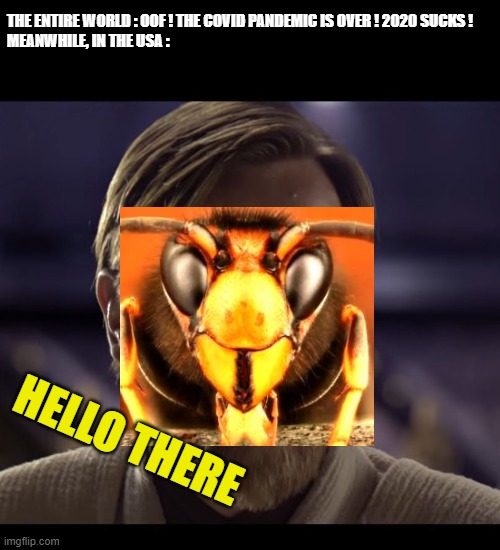 these murder hornets tho... | THE ENTIRE WORLD : OOF ! THE COVID PANDEMIC IS OVER ! 2020 SUCKS !



MEANWHILE, IN THE USA :; HELLO THERE | image tagged in hello there,2020,murder hornet | made w/ Imgflip meme maker
