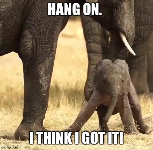 HANG ON. I THINK I GOT IT! | made w/ Imgflip meme maker