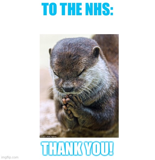 To the NHS |  TO THE NHS:; THANK YOU! | image tagged in nhs,thankful,thank you,otter,thank you lord otter | made w/ Imgflip meme maker