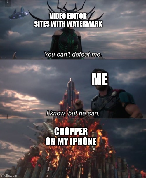 You can't defeat me | VIDEO EDITOR SITES WITH WATERMARK; ME; CROPPER ON MY IPHONE | image tagged in you can't defeat me | made w/ Imgflip meme maker