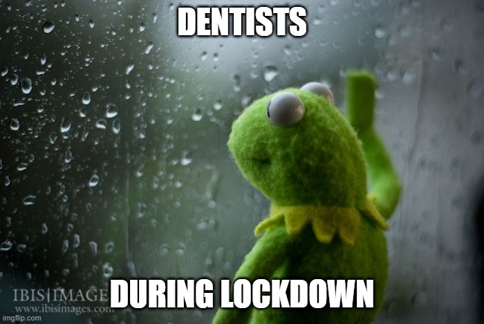 Dentists during lockdown | DENTISTS; DURING LOCKDOWN | image tagged in kermit window | made w/ Imgflip meme maker