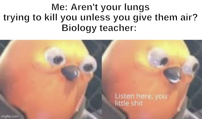 My biology teacher | Me: Aren't your lungs trying to kill you unless you give them air?
Biology teacher: | image tagged in listen here you little shit bird | made w/ Imgflip meme maker