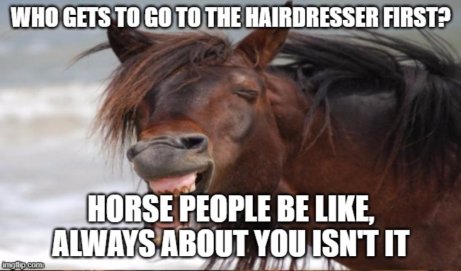 Hairdresser Me or You? | WHO GETS TO GO TO THE HAIRDRESSER FIRST? HORSE PEOPLE BE LIKE, ALWAYS ABOUT YOU ISN'T IT | image tagged in laughing horse | made w/ Imgflip meme maker