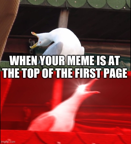 good feeling | WHEN YOUR MEME IS AT THE TOP OF THE FIRST PAGE | image tagged in screaming bird | made w/ Imgflip meme maker