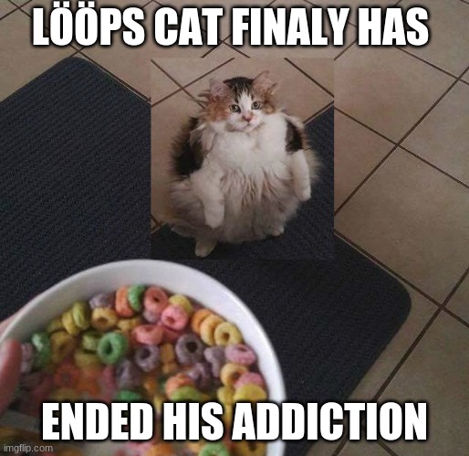 lööps cat ended his addiction | LÖÖPS CAT FINALY HAS; ENDED HIS ADDICTION | image tagged in cat,meme,funny,loops cat,old meme,loops | made w/ Imgflip meme maker