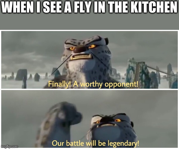 Our Battle Will Be Legendary | WHEN I SEE A FLY IN THE KITCHEN | image tagged in our battle will be legendary | made w/ Imgflip meme maker