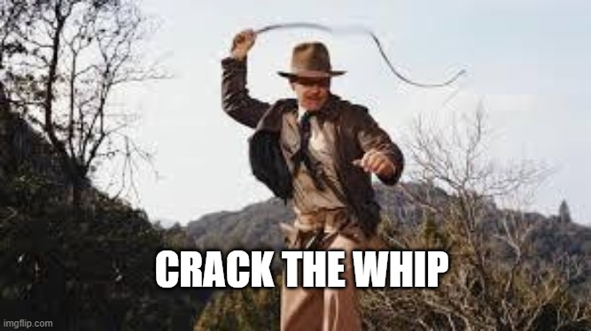 Whip | CRACK THE WHIP | image tagged in whip | made w/ Imgflip meme maker