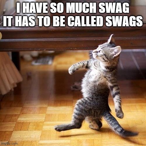 Swagger cat | I HAVE SO MUCH SWAG IT HAS TO BE CALLED SWAGS | image tagged in swagger cat | made w/ Imgflip meme maker