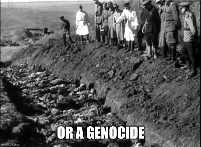 socialist genocide | OR A GENOCIDE | image tagged in socialist genocide | made w/ Imgflip meme maker