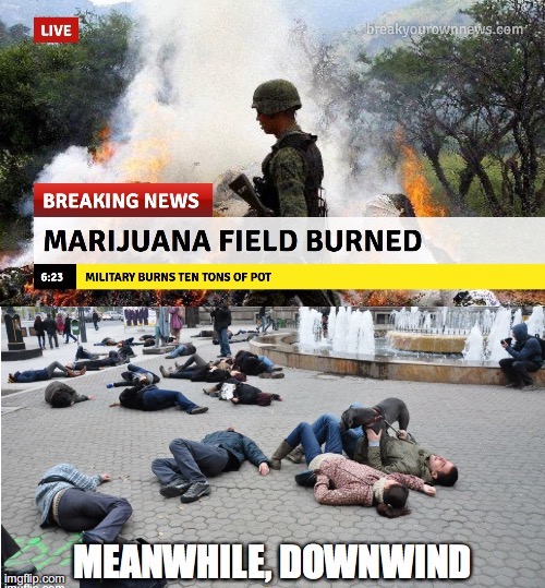 Breaking News | image tagged in marijuana,lol,funny,weed,busted,pot | made w/ Imgflip meme maker
