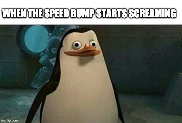 It doesn't need any title, it's pretty self explanatory on it's own... | WHEN THE SPEED BUMP STARTS SCREAMING | image tagged in confused private penguin,fun,meme,screaming,driving | made w/ Imgflip meme maker