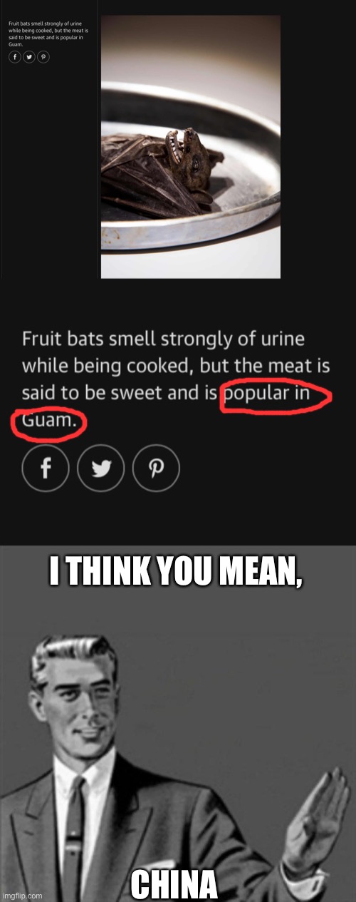 ThAt iS InCoRrEcT | I THINK YOU MEAN, CHINA | image tagged in correction guy,bats,guam,memes,china | made w/ Imgflip meme maker
