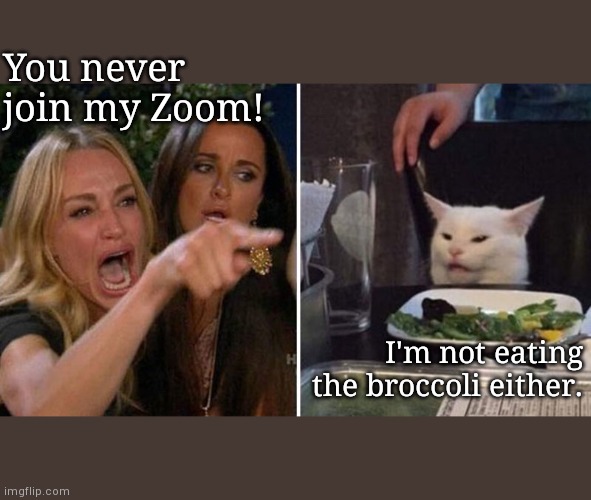 Woman Argues With Cat | You never join my Zoom! I'm not eating the broccoli either. | image tagged in woman argues with cat | made w/ Imgflip meme maker