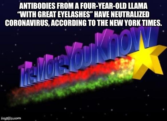 the more you know | ANTIBODIES FROM A FOUR-YEAR-OLD LLAMA “WITH GREAT EYELASHES” HAVE NEUTRALIZED CORONAVIRUS, ACCORDING TO THE NEW YORK TIMES. | image tagged in the more you know | made w/ Imgflip meme maker
