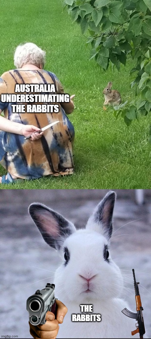 AUSTRALIA UNDERESTIMATING THE RABBITS; THE RABBITS | image tagged in rabbit,grandma hiding knife rabbit | made w/ Imgflip meme maker