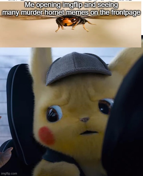 Unsettled detective pikachu | Me opening imgflip and seeing many murder hornet memes on the frontpage | image tagged in unsettled detective pikachu | made w/ Imgflip meme maker