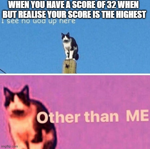 Hail pole cat | WHEN YOU HAVE A SCORE OF 32 WHEN  BUT REALISE YOUR SCORE IS THE HIGHEST | image tagged in hail pole cat | made w/ Imgflip meme maker