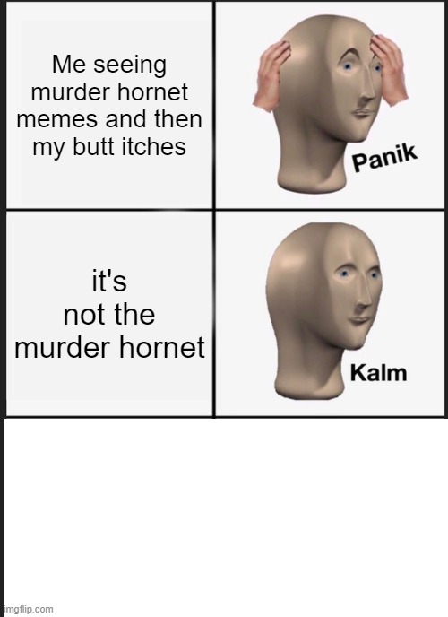 Panik Kalm Panik | Me seeing murder hornet memes and then my butt itches; it's not the murder hornet | image tagged in memes,panik kalm panik | made w/ Imgflip meme maker