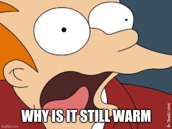 fry screaming  | WHY IS IT STILL WARM | image tagged in fry screaming | made w/ Imgflip meme maker