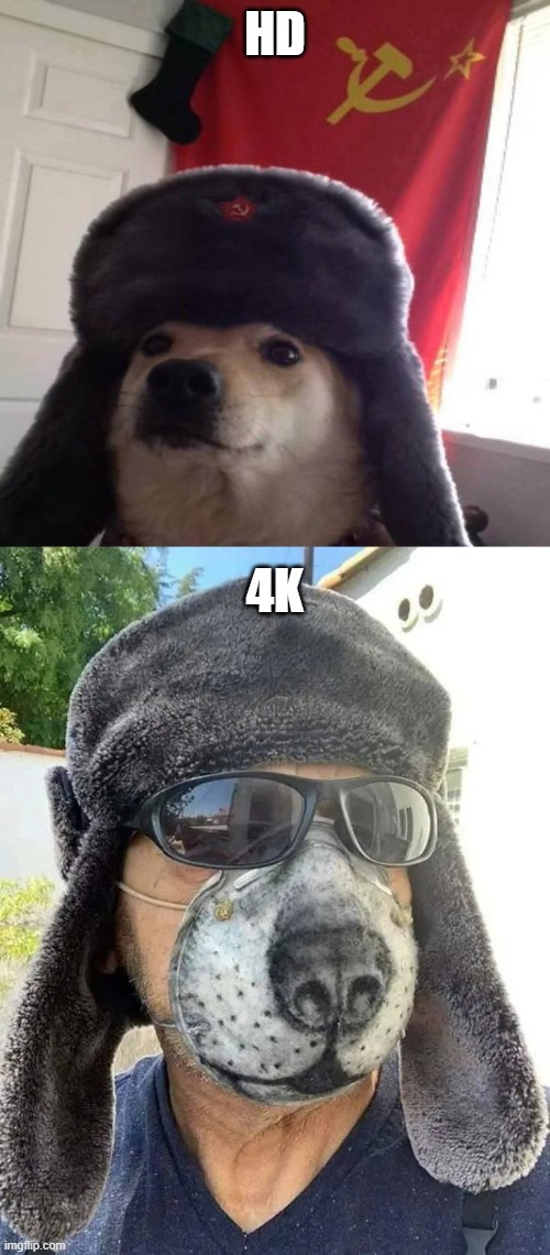 Image Tagged In Russian Doge Mask Memes Funny Coronavirus Covid 19