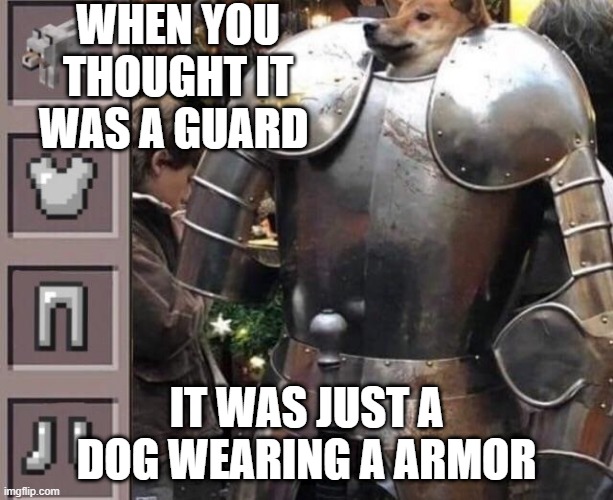 Funny | WHEN YOU THOUGHT IT WAS A GUARD; IT WAS JUST A DOG WEARING A ARMOR | image tagged in funny dogs | made w/ Imgflip meme maker