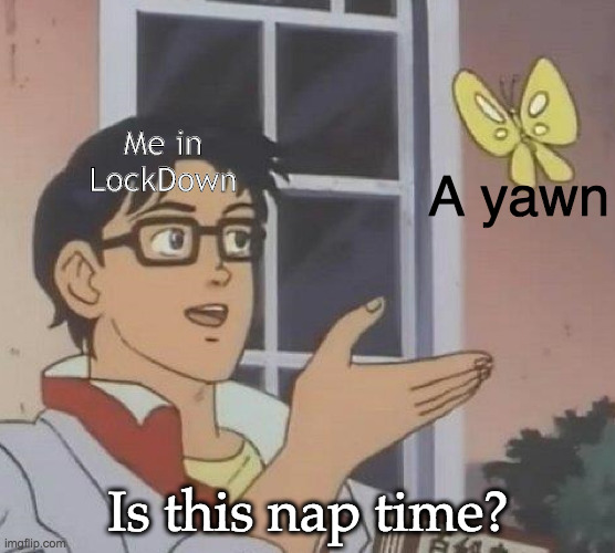 is this butterfly | Me in LockDown; A yawn; Is this nap time? | image tagged in is this butterfly,quarantine,lockdown,nap | made w/ Imgflip meme maker