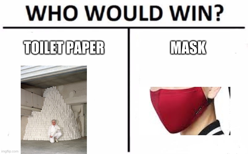 Who Would Win? | TOILET PAPER; MASK | image tagged in memes,who would win | made w/ Imgflip meme maker