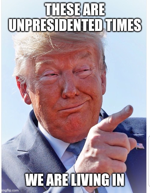 Trump pointing | THESE ARE UNPRESIDENTED TIMES; WE ARE LIVING IN | image tagged in trump pointing | made w/ Imgflip meme maker
