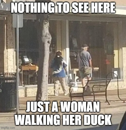 NOTHING TO SEE HERE; JUST A WOMAN WALKING HER DUCK | image tagged in memes,duck | made w/ Imgflip meme maker