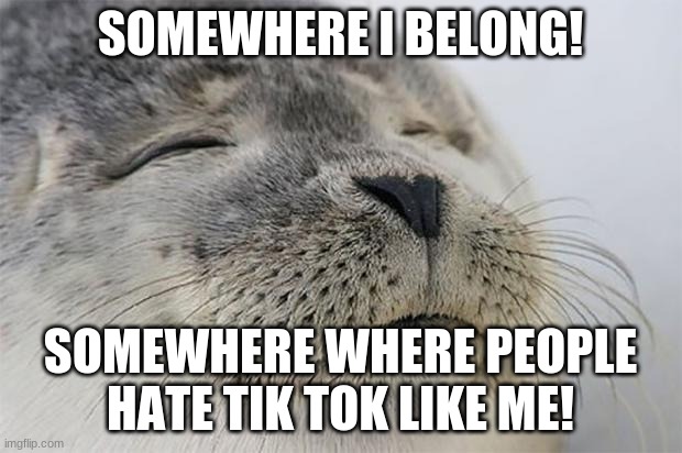 I did Tik Tok a little when it was still Music.ly, tho (on my friends' phones) | SOMEWHERE I BELONG! SOMEWHERE WHERE PEOPLE HATE TIK TOK LIKE ME! | image tagged in memes,satisfied seal | made w/ Imgflip meme maker