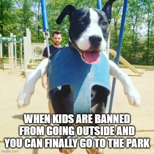 WHEN KIDS ARE BANNED FROM GOING OUTSIDE AND YOU CAN FINALLY GO TO THE PARK | made w/ Imgflip meme maker