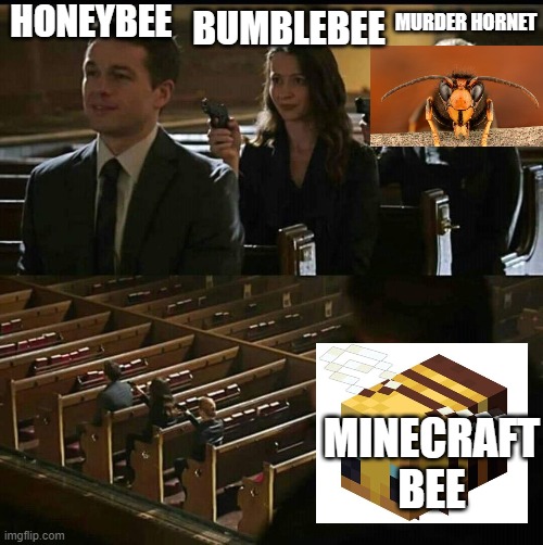 buzz bozz beez boz | HONEYBEE; BUMBLEBEE; MURDER HORNET; MINECRAFT BEE | image tagged in bees | made w/ Imgflip meme maker