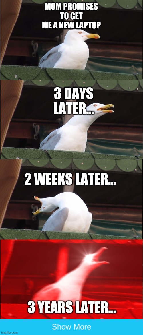Inhaling seagull | MOM PROMISES TO GET ME A NEW LAPTOP; 3 DAYS LATER... 2 WEEKS LATER... 3 YEARS LATER... | image tagged in memes,inhaling seagull,show more | made w/ Imgflip meme maker