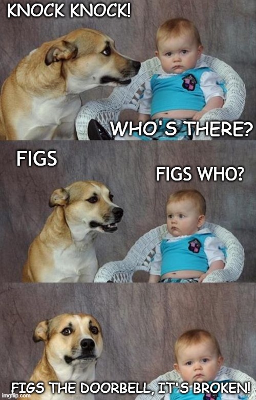 Daily Bad Dad Joke May 7 2020 | KNOCK KNOCK! WHO'S THERE? FIGS; FIGS WHO? FIGS THE DOORBELL, IT'S BROKEN! | image tagged in baby and dog | made w/ Imgflip meme maker