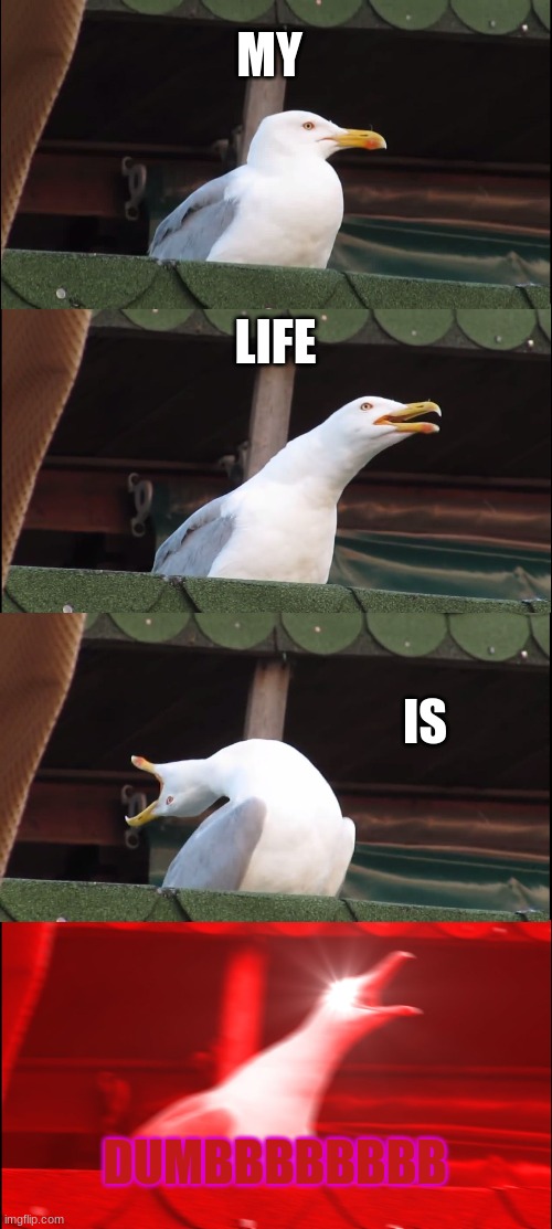 funnnnnnnnnneh | MY; LIFE; IS; DUMBBBBBBBB | image tagged in memes,inhaling seagull | made w/ Imgflip meme maker
