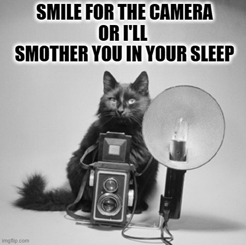 Hi, I'm Blackie, your friendly photographer | SMILE FOR THE CAMERA          OR I'LL          
SMOTHER YOU IN YOUR SLEEP | image tagged in vince vance,black cat,photographer,cameras,cats,funny cat memes | made w/ Imgflip meme maker