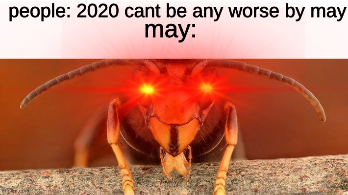 people: 2020 cant be any worse by may; may: | image tagged in memes | made w/ Imgflip meme maker