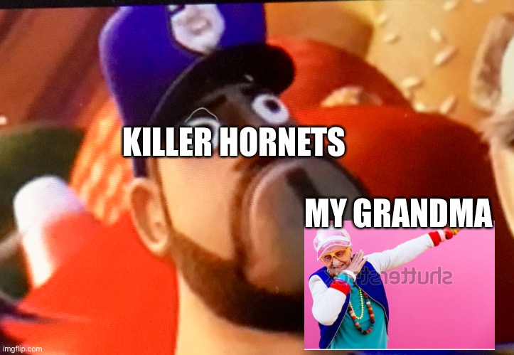 Policeman Stare | KILLER HORNETS; MY GRANDMA | image tagged in funny | made w/ Imgflip meme maker