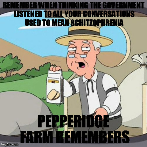 Pepperidge Farm Remembers Meme | REMEMBER WHEN THINKING THE GOVERNMENT LISTENED TO ALL YOUR CONVERSATIONS USED TO MEAN SCHITZOPHRENIA PEPPERIDGE FARM REMEMBERS | image tagged in memes,pepperidge farm remembers | made w/ Imgflip meme maker