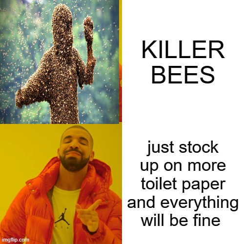 Drake Hotline Bling | KILLER BEES; just stock up on more toilet paper and everything will be fine | image tagged in memes,drake hotline bling | made w/ Imgflip meme maker