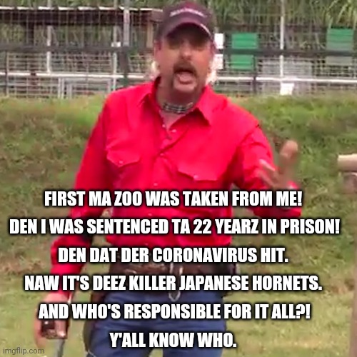 Joe Exotic |  FIRST MA ZOO WAS TAKEN FROM ME! DEN I WAS SENTENCED TA 22 YEARZ IN PRISON! DEN DAT DER CORONAVIRUS HIT. NAW IT'S DEEZ KILLER JAPANESE HORNETS. AND WHO'S RESPONSIBLE FOR IT ALL?! Y'ALL KNOW WHO. | image tagged in tiger king | made w/ Imgflip meme maker