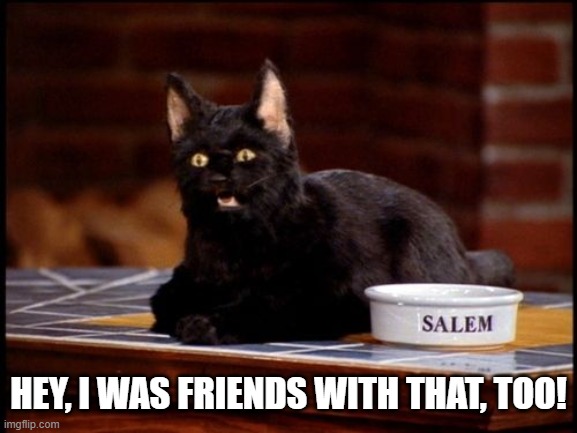 Salem | HEY, I WAS FRIENDS WITH THAT, TOO! | image tagged in salem | made w/ Imgflip meme maker