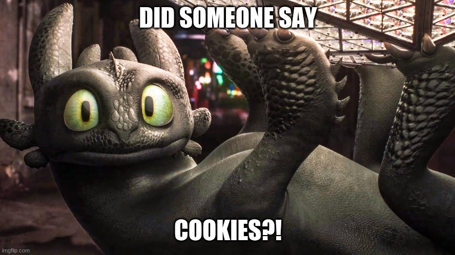 Toothless | DID SOMEONE SAY; COOKIES?! | image tagged in toothless | made w/ Imgflip meme maker
