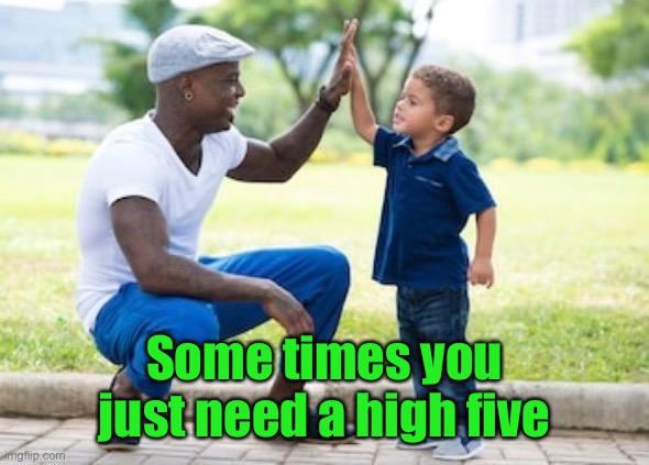 Which one does this apply to? | Some times you just need a high five | image tagged in high five,cool day,fun memes | made w/ Imgflip meme maker