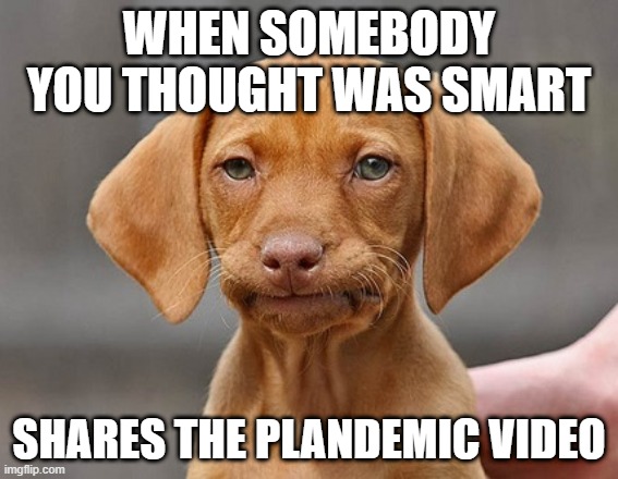 Plandemic dummies | WHEN SOMEBODY YOU THOUGHT WAS SMART; SHARES THE PLANDEMIC VIDEO | image tagged in disappointed puppy | made w/ Imgflip meme maker
