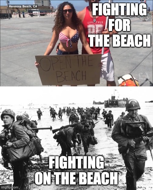 Fighting for the beach | FIGHTING FOR THE BEACH; FIGHTING ON THE BEACH | image tagged in covid,beach,california,maga | made w/ Imgflip meme maker
